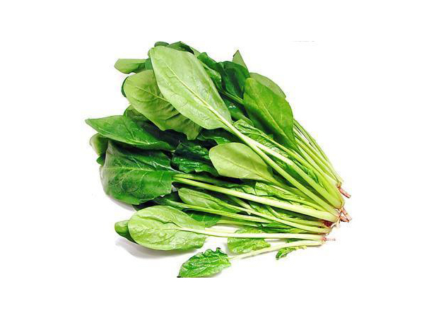 仲恺送菜公司哪家好